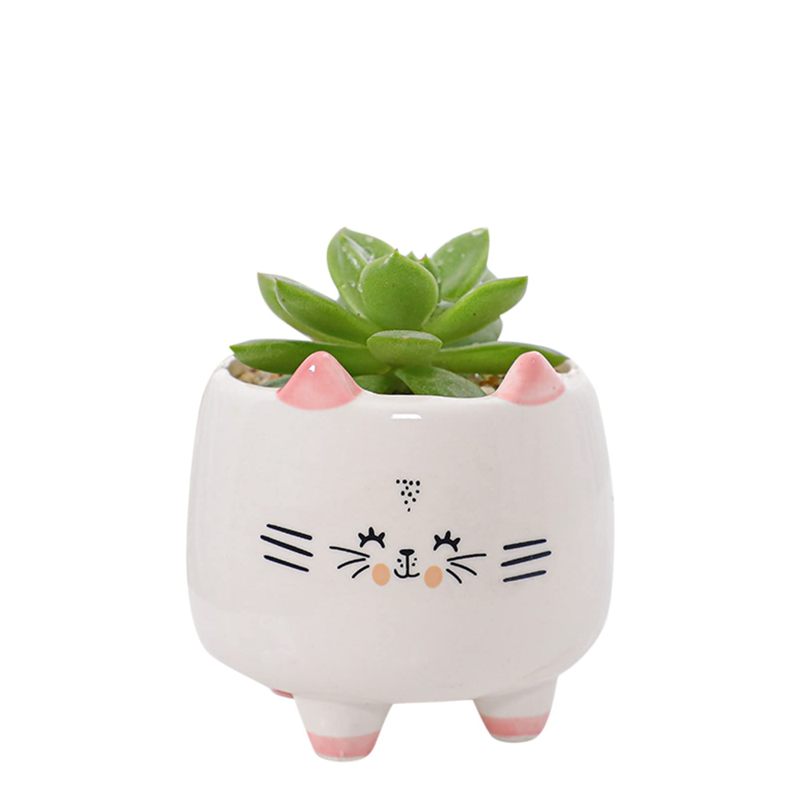 Boddenly Ceramic Succulent Planter Pot - Creative Cartoon Shaped Bonsai & Cactus Flower Pot with Drain Hole - Air Plant Vase Holder for Desktop, Office, Home Decor - Perfect for Indoor Plants, Succulents, and Small Bonsai