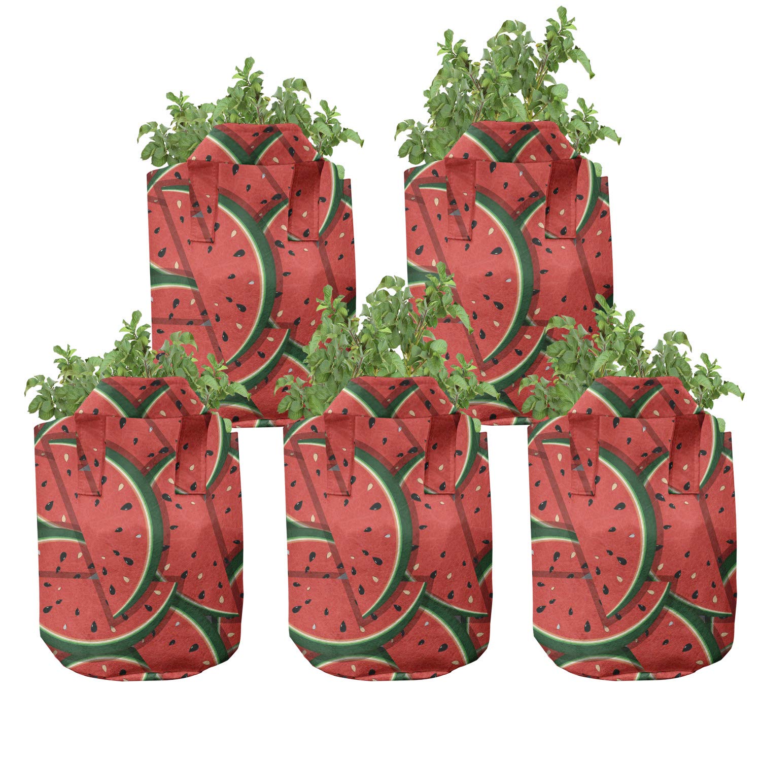 Ambesonne 5-Pack Heavy Duty Fabric Grow Bags with Handles - Watermelon Slice Print Plant Pots for Fruits & Vegetables (Hunter Green/Red) - Ideal for Indoor Gardening, Balcony Plants & Urban Farming