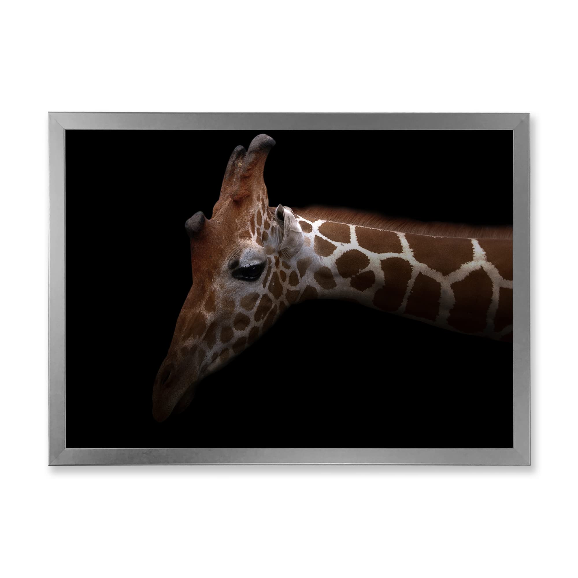 DesignQ Giraffe Portrait IV - Farmhouse Framed Wall Art Decor for Living Room, Bedroom & Office - Animal Themed Home Decoration