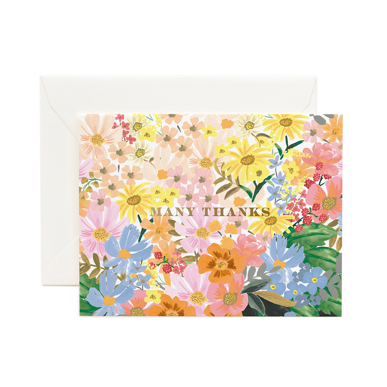 Beautiful Marguerite Thank You Greeting Card - Floral Appreciation Card for Friends, Family & Coworkers - Perfect for Birthdays, Anniversaries & Special Occasions