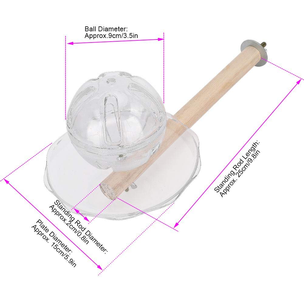 Bird Foraging Ball Toy - Creative Buffet Feeder with Swing & Bite Stand for Parrots, Cockatiels - Perfect for Training & Enrichment Activities