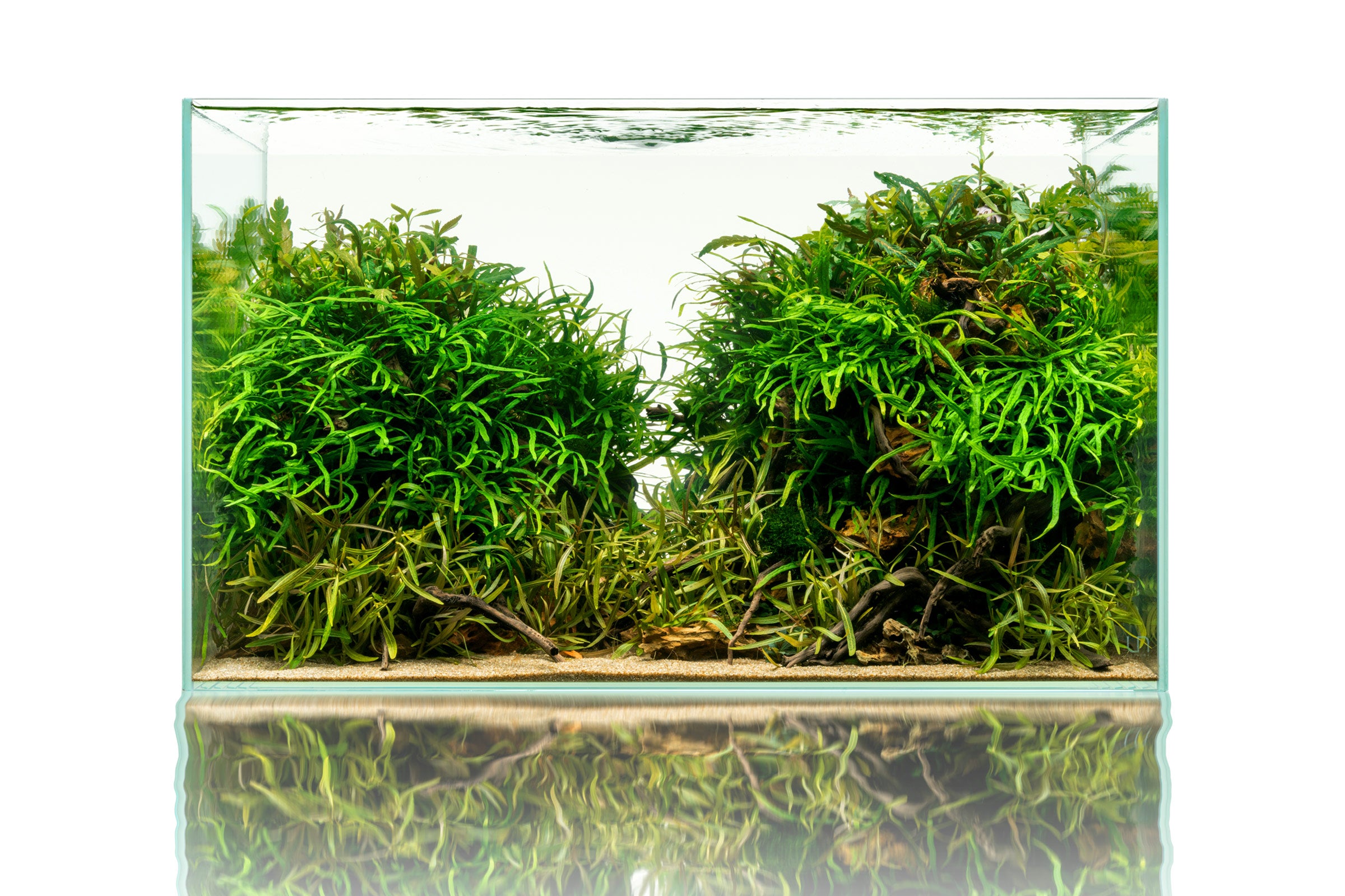Premium UNS Rimless Standard Glass Aquarium Tank - Crystal Clear View for Nano Fish Tanks, Planted Aquascapes & Home/Office Decor