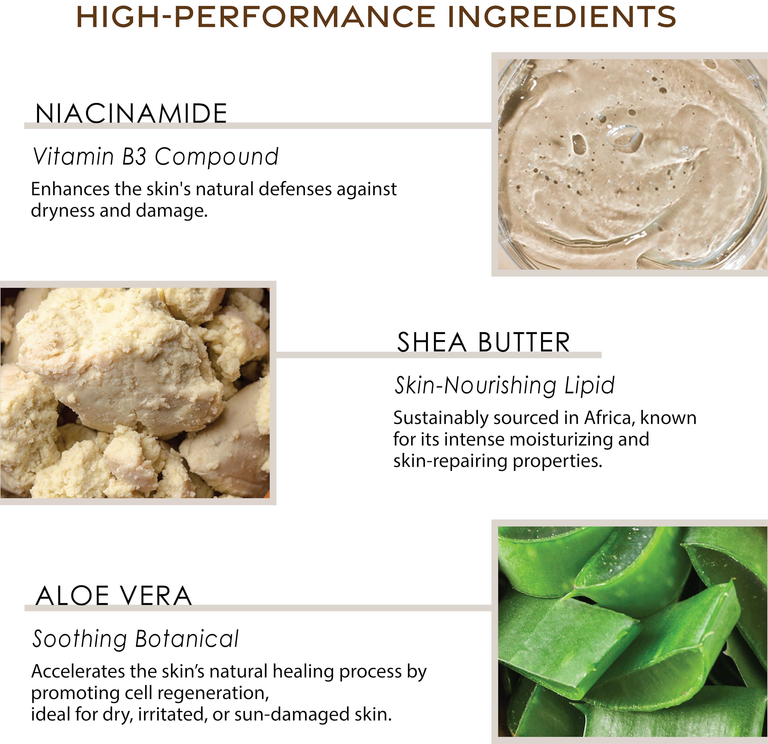 Deep Steep Classic Body Lotion - Brown Sugar Vanilla Scent | Moisturizing & Nourishing Dry Skin | Perfect for Daily Hydration & Relaxing Self-Care Routine