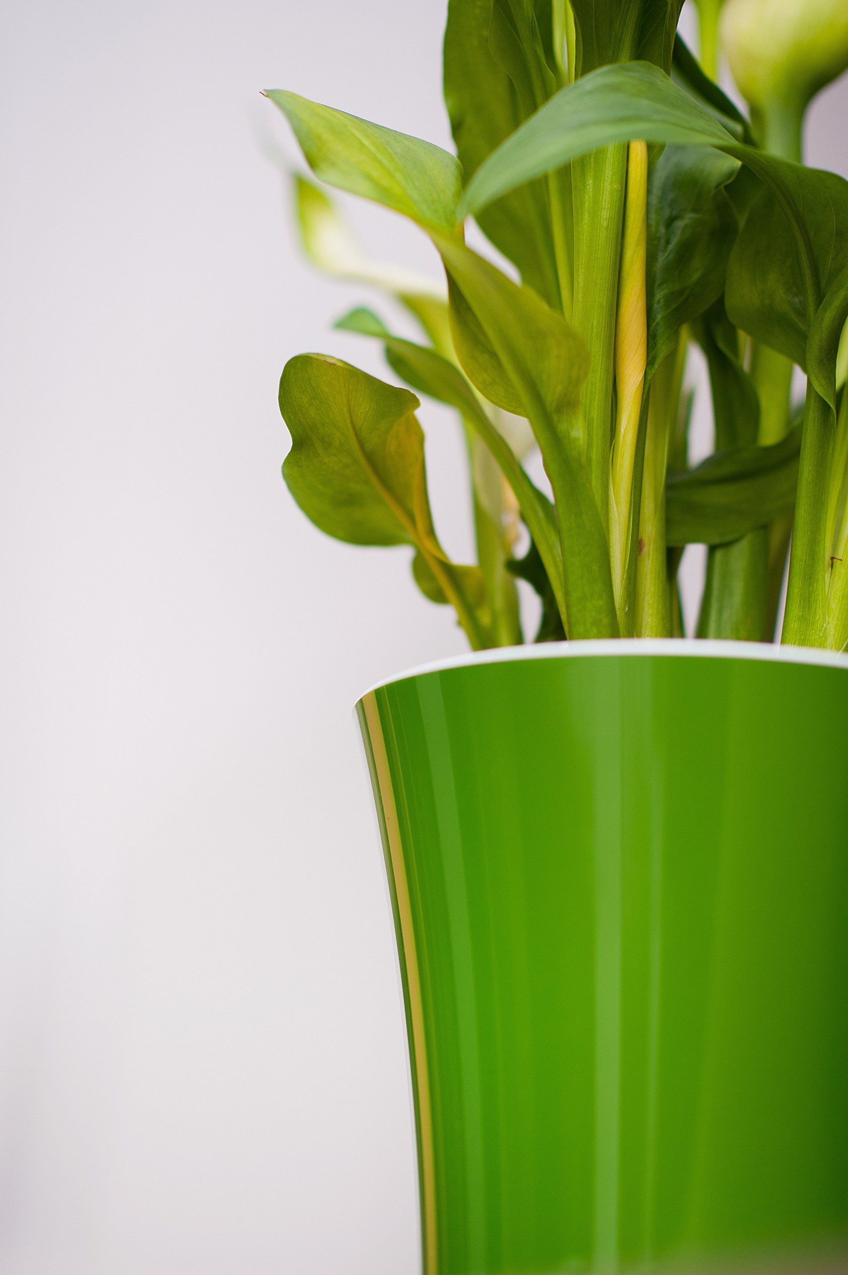 Self Watering Planter Pot 5.3 Inch - White/Black Indoor Flower Pot for House Plants, Herbs, Succulents - Perfect for Home, Office, Balcony & Garden Decor