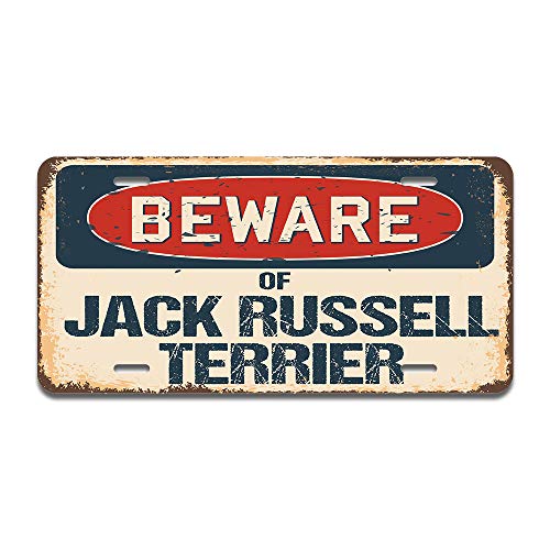 Beware of Jack Russell Terrier