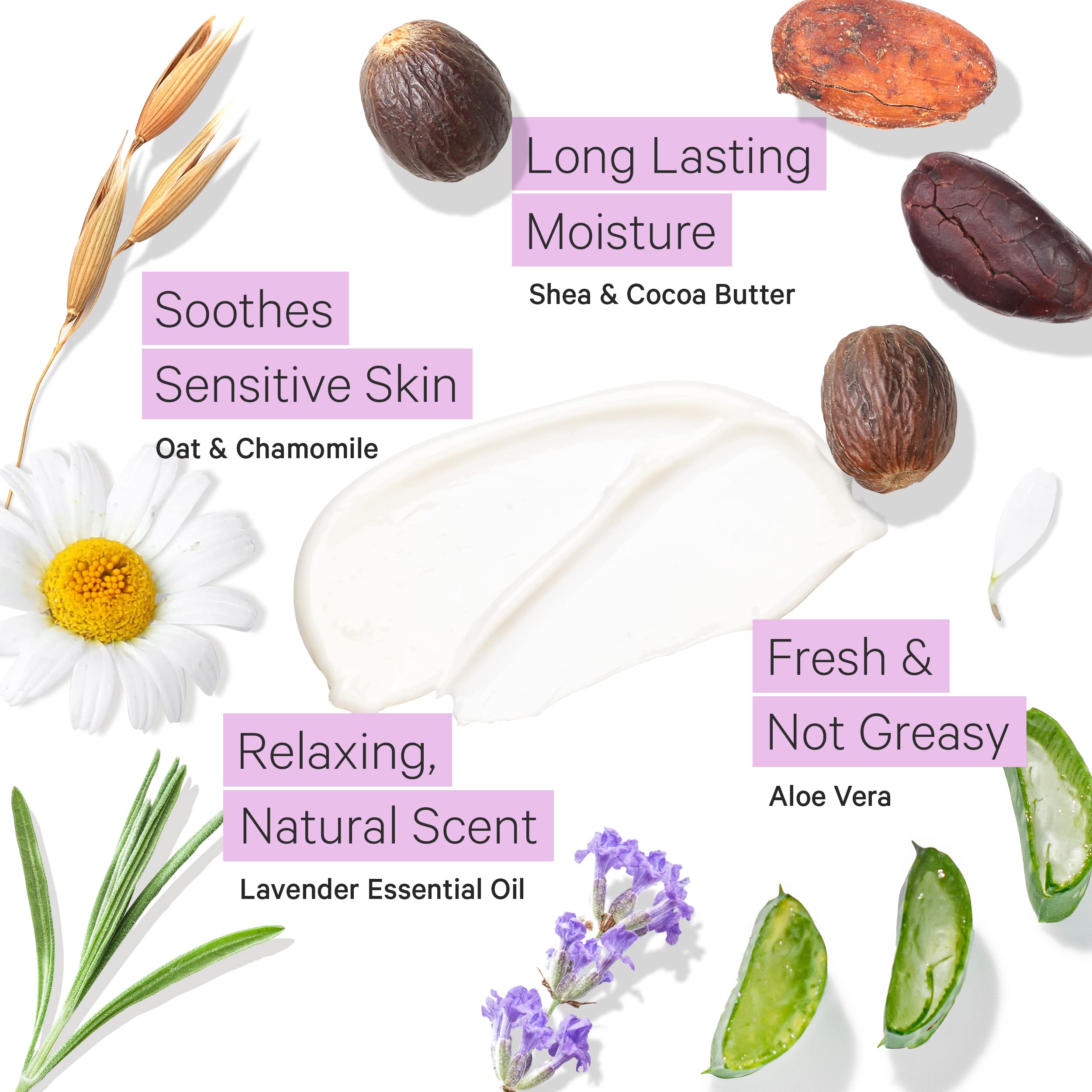Tree to Tub Lavender Shea Butter Body Lotion & Face Wash for Dry & Sensitive Skin | pH Balanced Hydrating Lavender Body Wash with Organic Shea Butter & Aloe Vera for Women & Men | Perfect for Daily Moisturizing & Soothing Irritated Skin