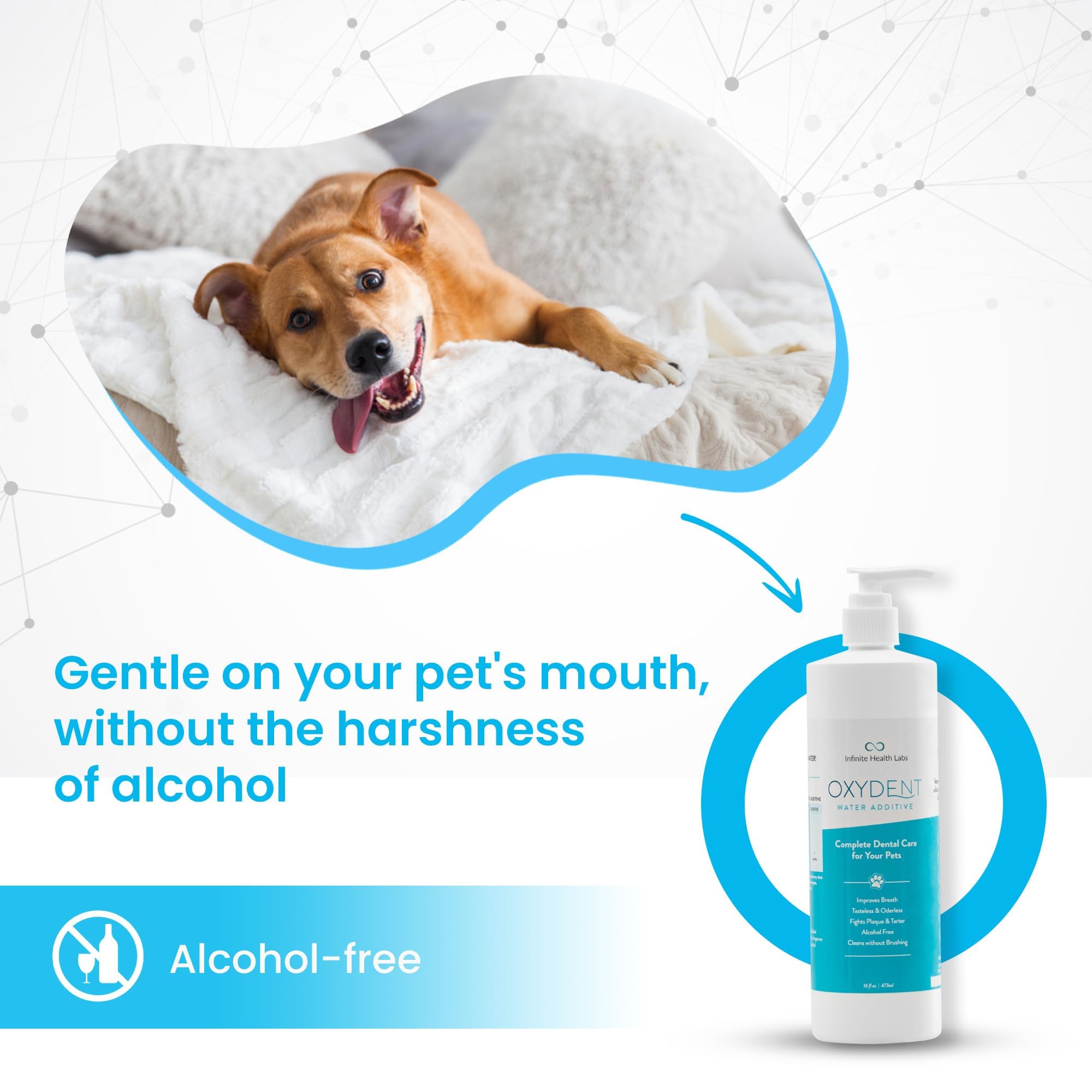 Oxydent Premium Pet Dental Care Solution - Water Additive & Mouthwash for Dogs & Cats - Eliminates Bad Breath, Fights Tartar & Plaque - Fresh Breath Oral Rinse for Pets - Perfect for Daily Dental Hygiene & Vet-Recommended Care