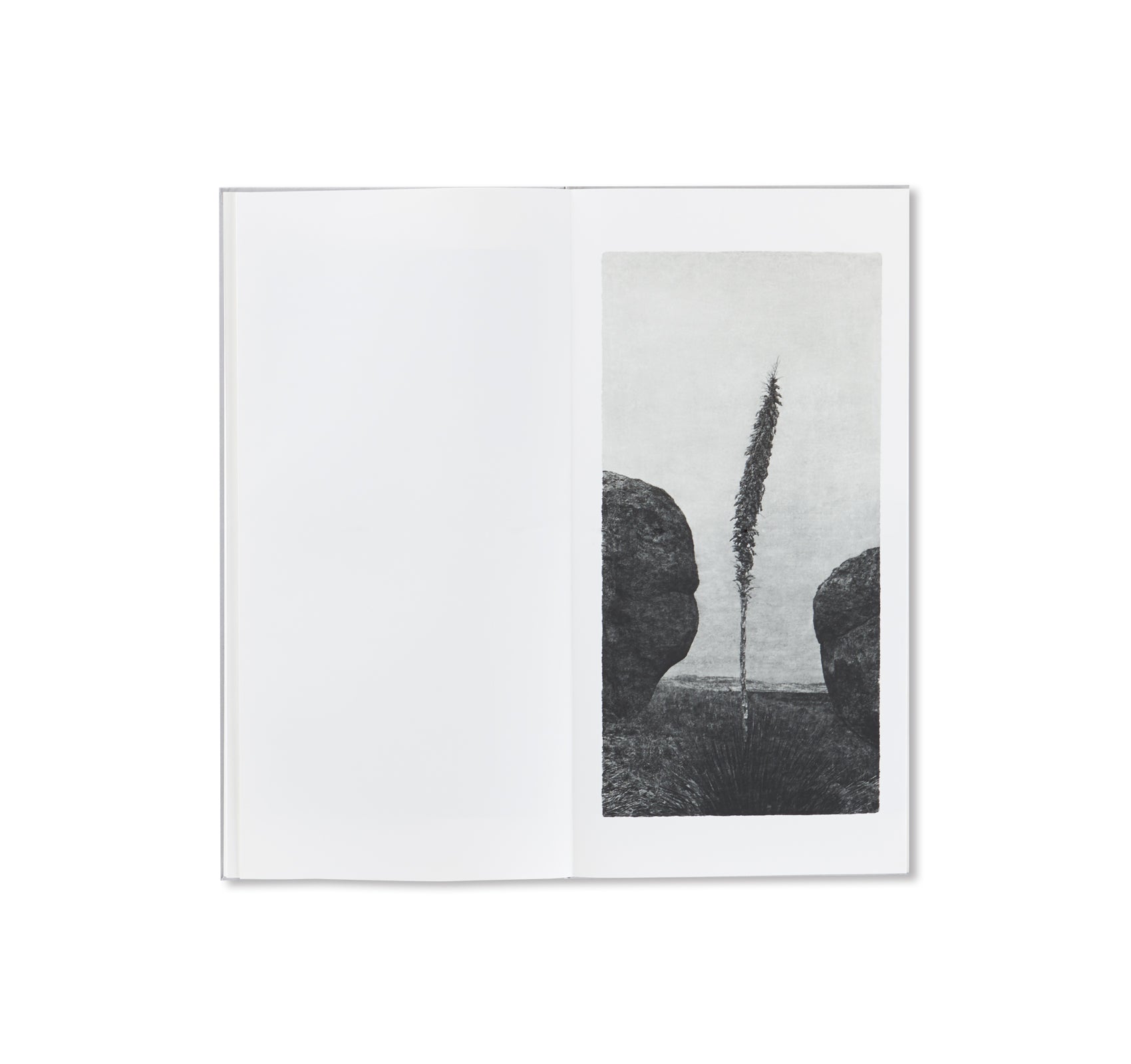 OPENING by Jungjin Lee - Stunning Art Book for Home Decor, Office Display & Gift Ideas | Explore Contemporary Photography & Unique Aesthetic
