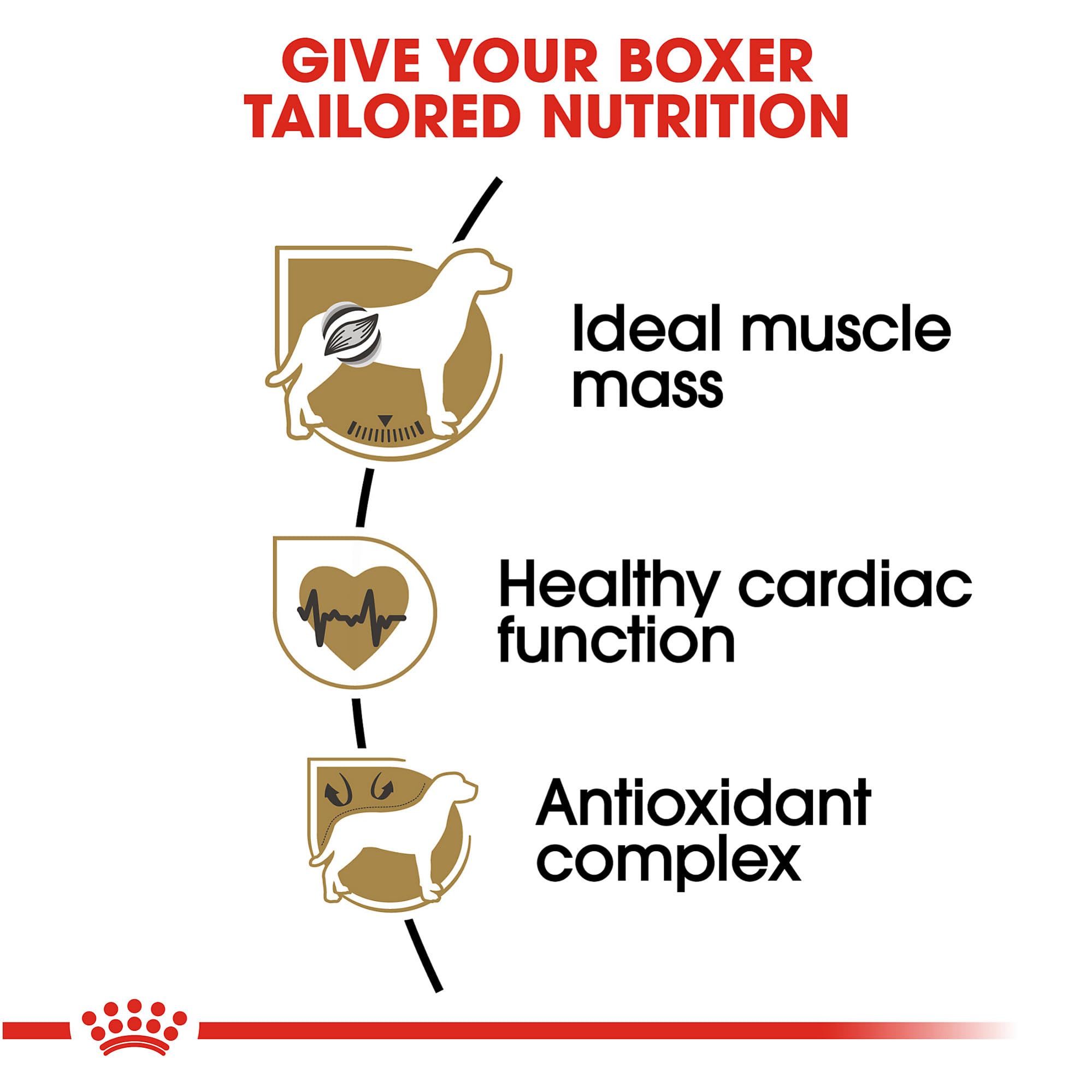 Royal Canin Boxer Adult Dry Dog Food - 30 lb Bag | High Protein Nutrition for Boxer Dogs | Perfect for Active Adult Dogs & Daily Feeding
