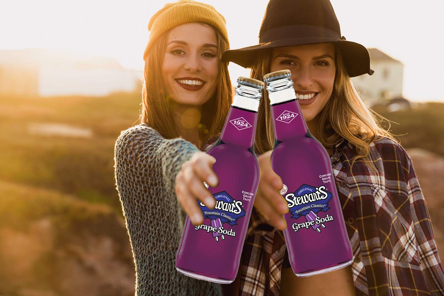 Stewart's Grape Soda - 24 Pack (12 fl oz Glass Bottles) | Classic American Soda for Parties, BBQs & Nostalgic Treats