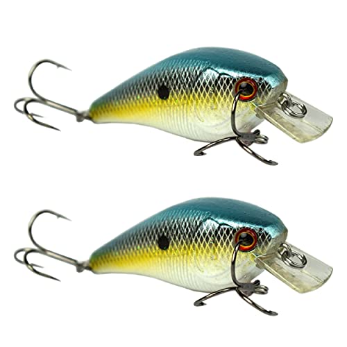 SX Shad