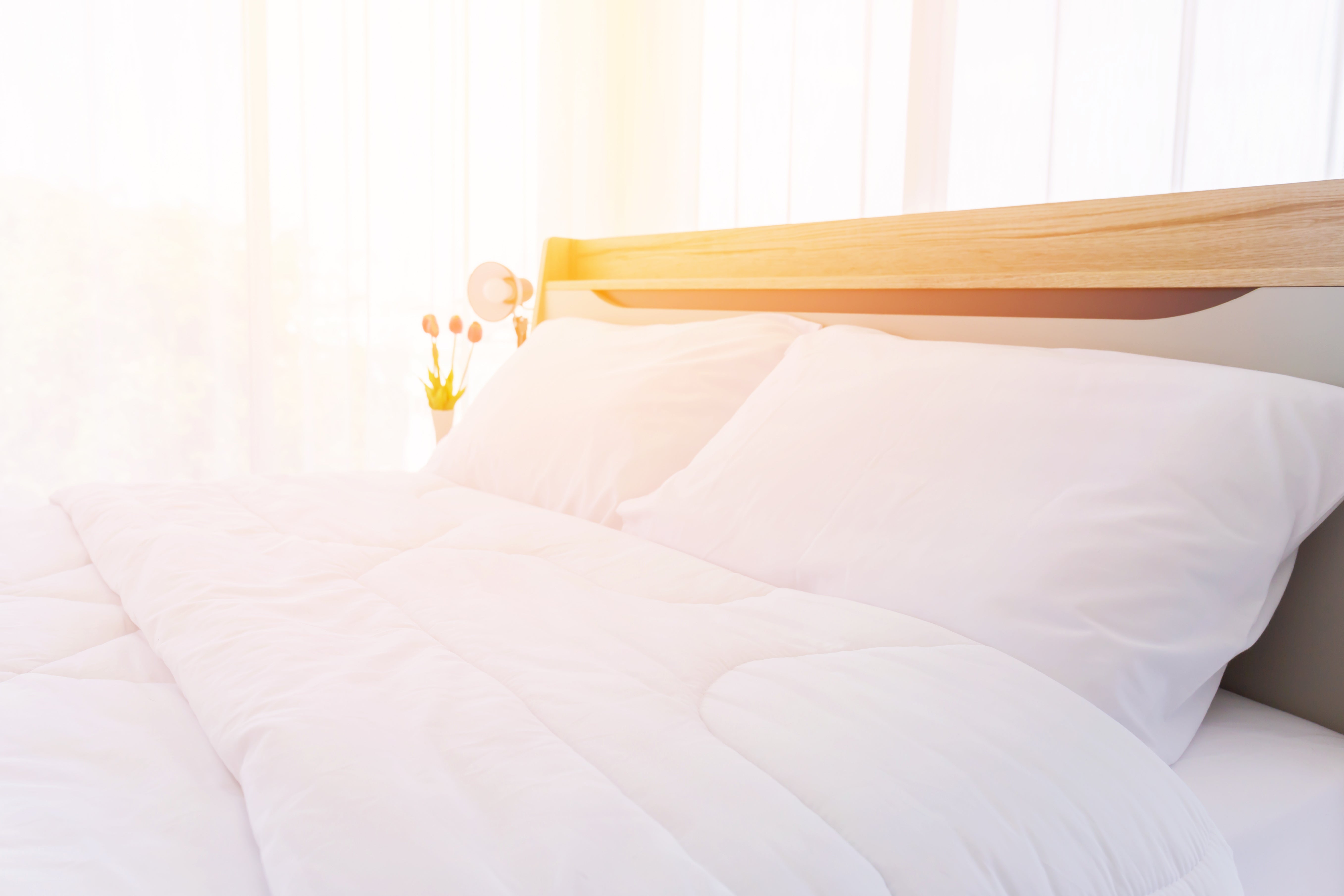 Premium Pillowtex Pillowcase Set - 80% Cotton 20% Polyester, 300 Thread Count for Ultimate Comfort - Perfect for Bedroom, Hotel, and Travel Use