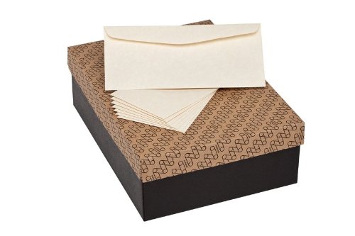 Mohawk Skytone Vellum Parchment Envelopes 4-1/8 x 9-1/2 Inches, 24W (89 gsm) - 500 Pack Natural Shade Business Envelopes with Commercial Flap for Office, Mailing, Wedding Invitations & Stationery (M29918)