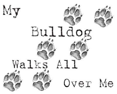 Cahoon's Closet Funny Bulldog Owner T-Shirt - My Bulldog Walks All Over Me Graphic Tee for Dog Lovers | Perfect Gift for Bulldog Owners & Pet Lovers