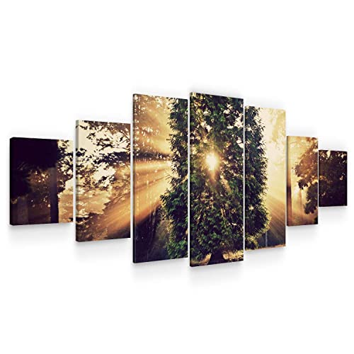 Gold Green Sunset