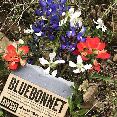 Bluebonnet Bar Soap - Natural Handmade Soap for Sensitive Skin | Moisturizing & Gentle Cleansing | Perfect for Daily Use, Travel & Gifts