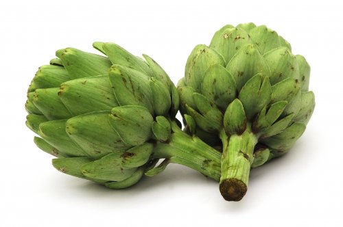Artichoke Green Globe Heirloom Seeds - 1/4 Lb Bulk Pack by Seed Kingdom | Non-GMO Vegetable Seeds for Home Gardening, Organic Farming & Culinary Use