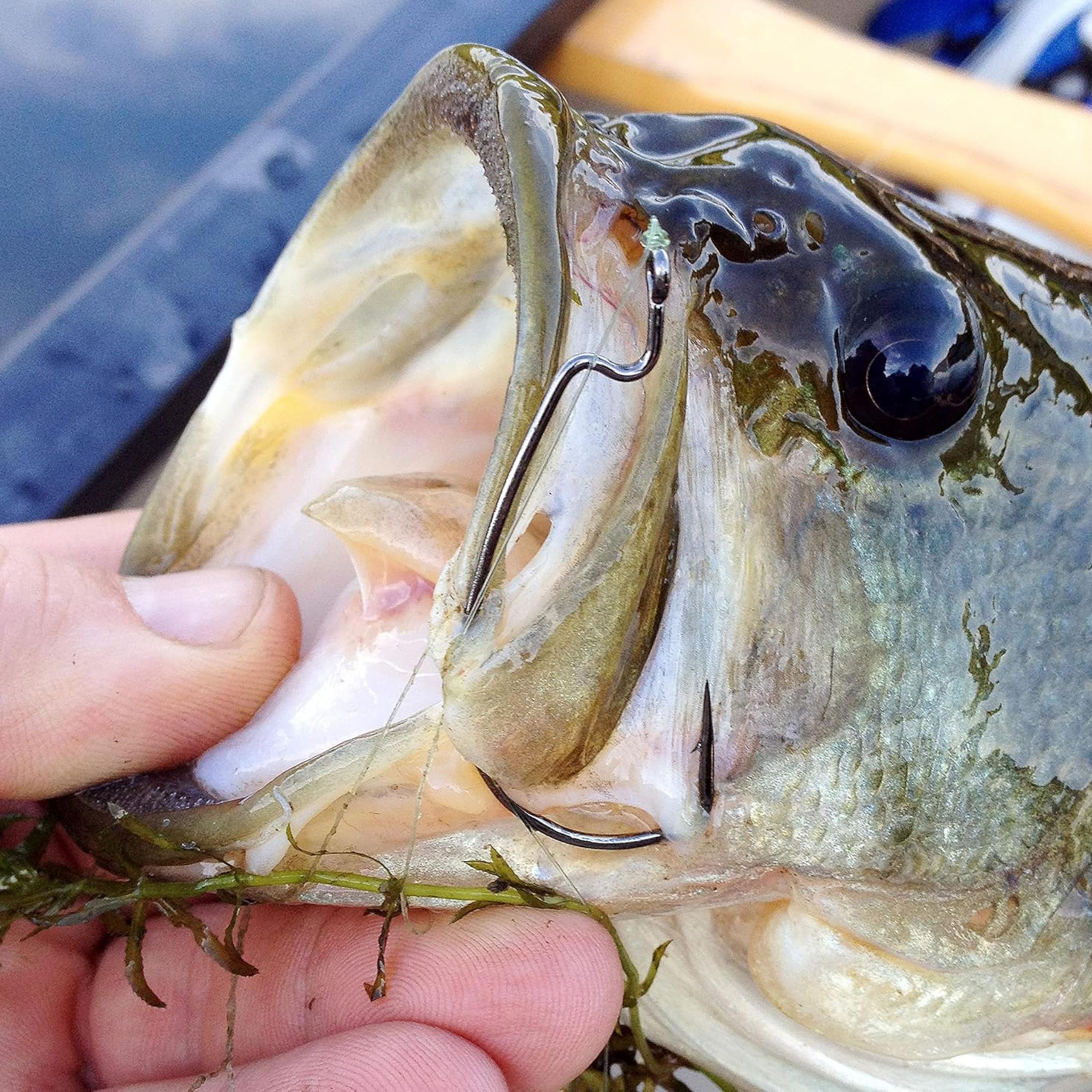 3X Strong EWG Worm Hooks for Bass & Trout Fishing - Texas Rig Offset Hooks for Soft Plastic Bait - Perfect for Freshwater & Saltwater Angling