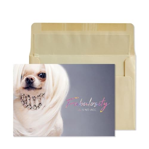 Glam Dog