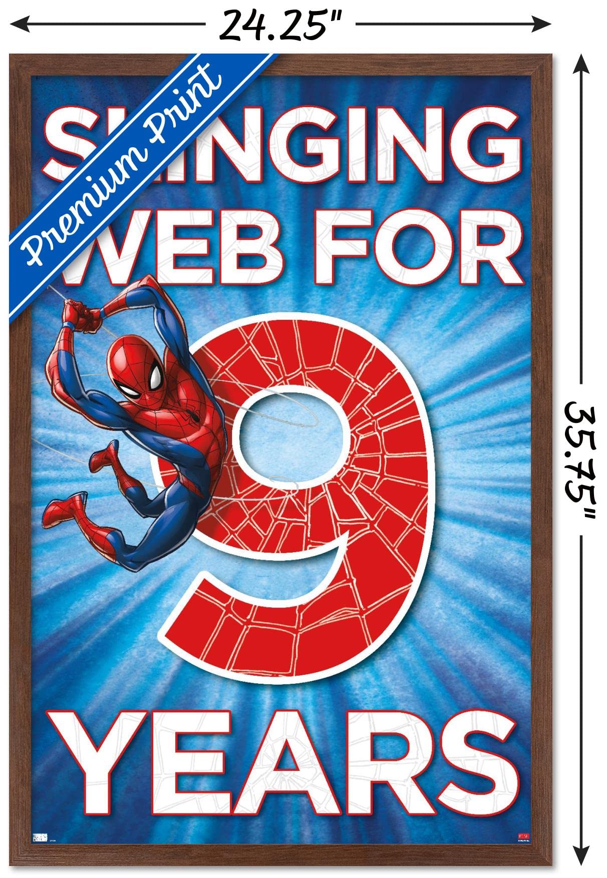 Marvel Spider-Man Happy 9th Birthday Wall Poster - 34