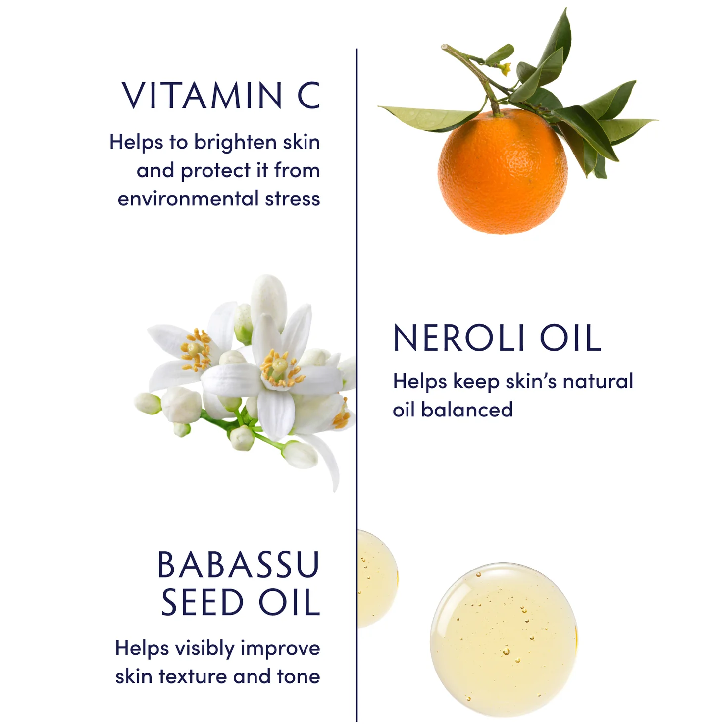 Naturopathica Vitamin C & Neroli Dry Body Oil - Hydrating & Glowing Skin Treatment for Dry Skin - Perfect for Daily Moisturizing, Massage & Spa Use