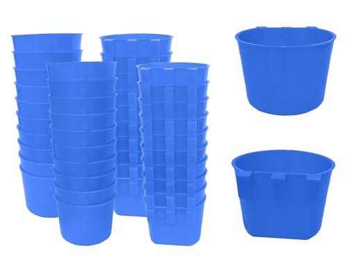 Blue 40 packs 8oz