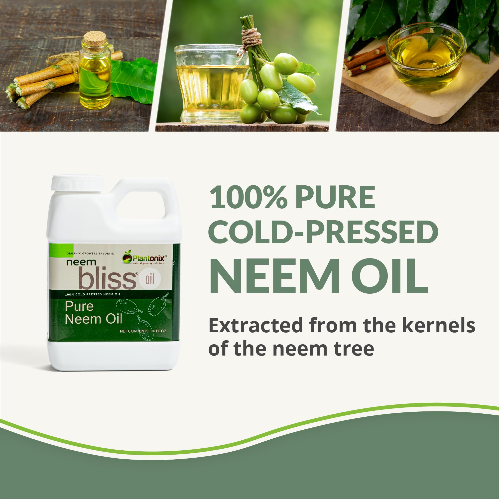 Pure Cold-Pressed Neem Oil (1 Gallon) - 100% Natural Neem Seed Oil Concentrate for Hair Care, Skin Treatment & Organic Gardening - Unrefined Neem Extract for DIY Beauty, Pest Control & Plant Protection