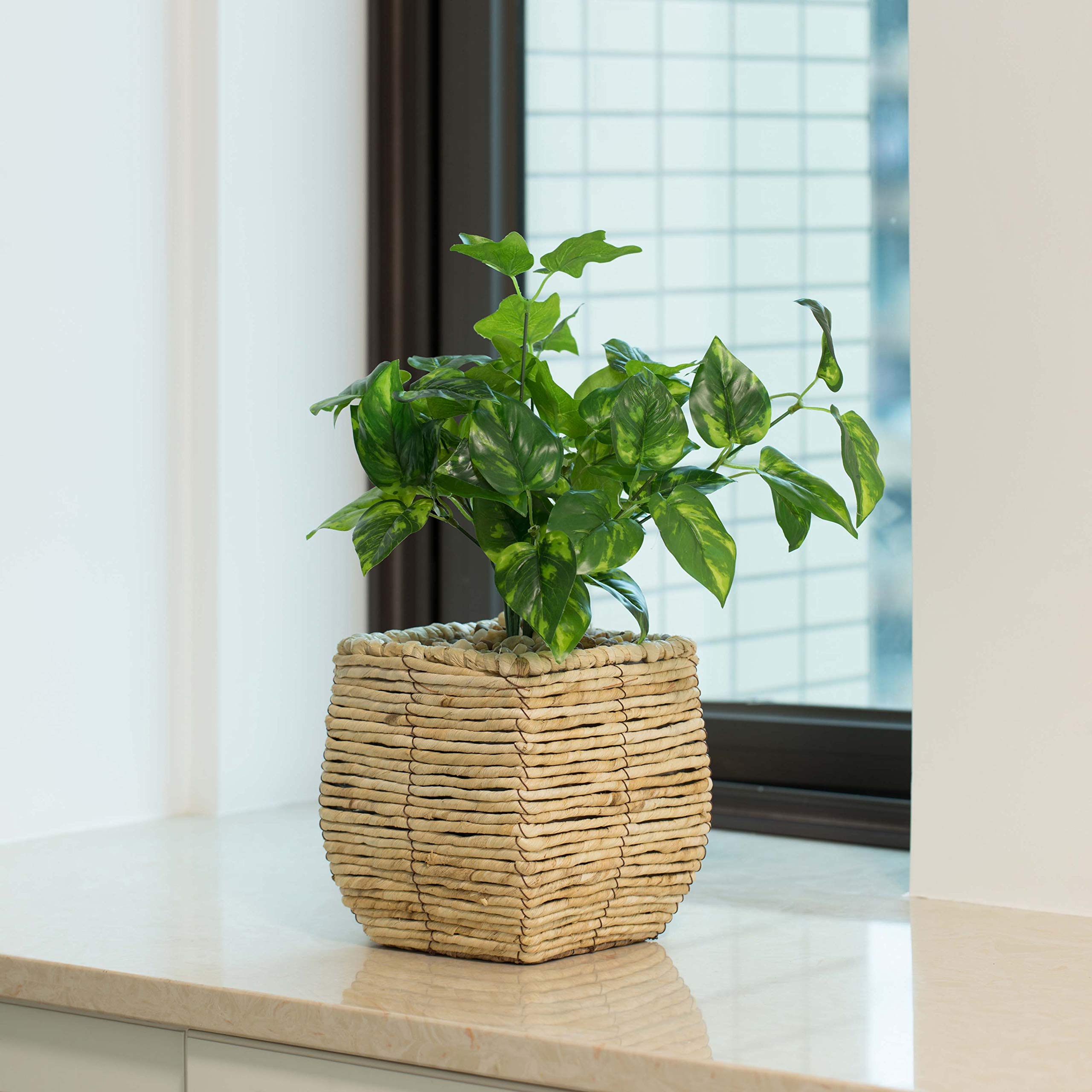 Vintiquewise Woven Square Flower Pot Planter with Leak-Proof Plastic Lining - Small Indoor/Outdoor Decorative Planter for Home, Garden, Patio, and Balcony