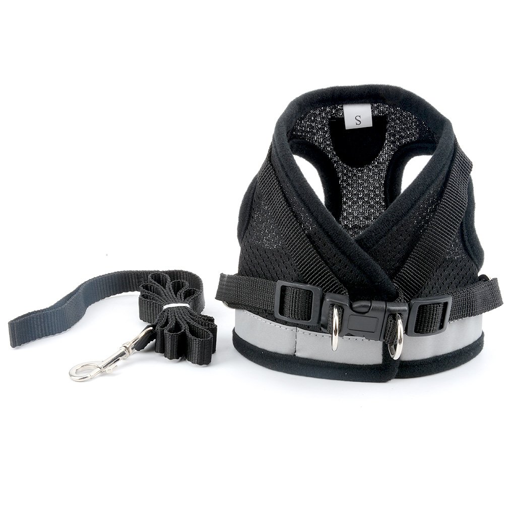 Ranphy Reflective No-Pull Dog Harness Vest with Leash Set - Soft Mesh Step-in Jacket for Small Dogs & Cats (Yorkie, Chihuahua, Puppy, Kitten) - Black | Perfect for Night Walks, Training & Outdoor Safety