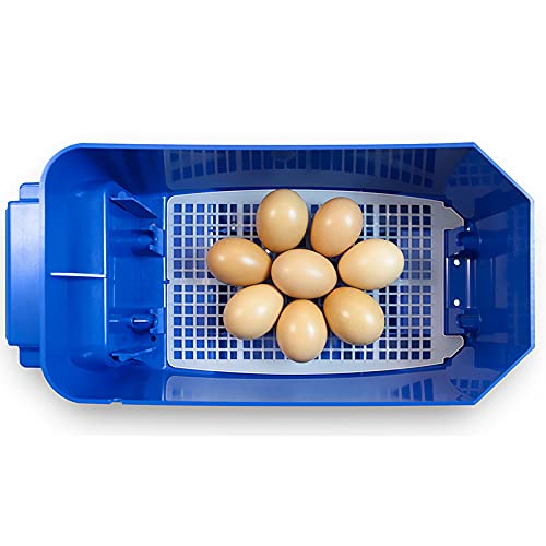 Premier 1 Supplies Borotto Lumia 8 Automatic Egg Incubator with Humidity Pump - Perfect for Poultry Farming, Hatching Chicken Duck Quail Eggs at Home or Farm