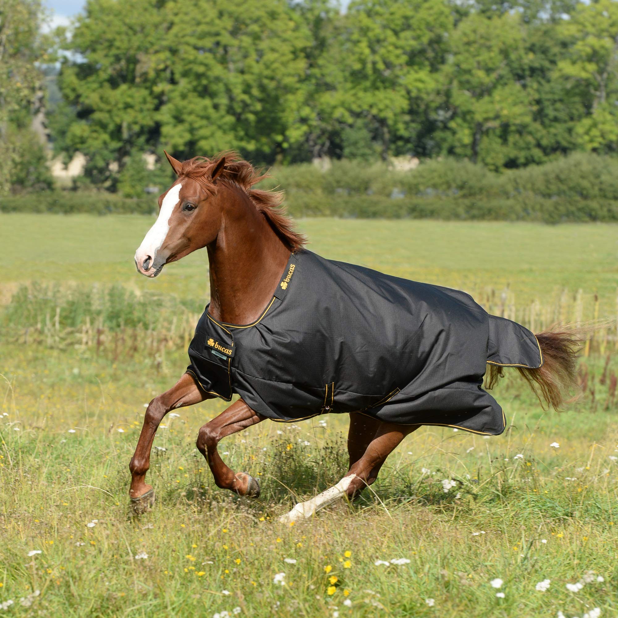Irish Turnout Light 50g - Premium Horse Riding Blanket for Cold Weather | Warm & Waterproof Stable Rug for Horses | Ideal for Winter Training & Outdoor Riding