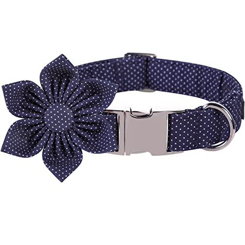 Blue White Dot