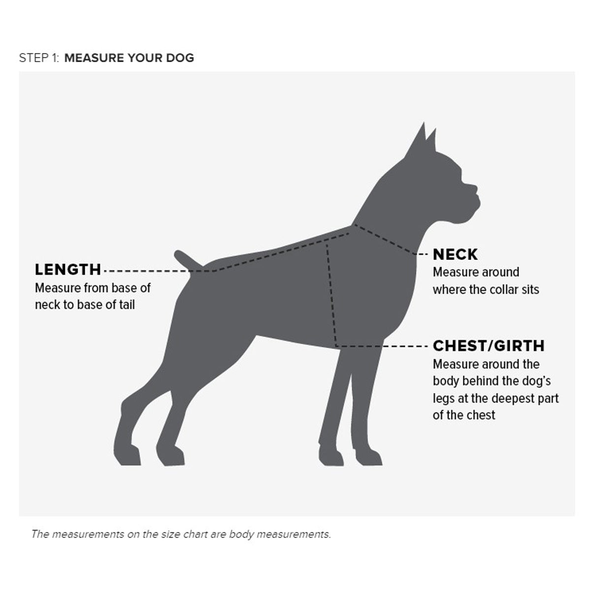 Ariat DuraCanvas Dog Jacket - Waterproof & Durable Dog Coat for Outdoor Adventures, Hiking, and Cold Weather Protection