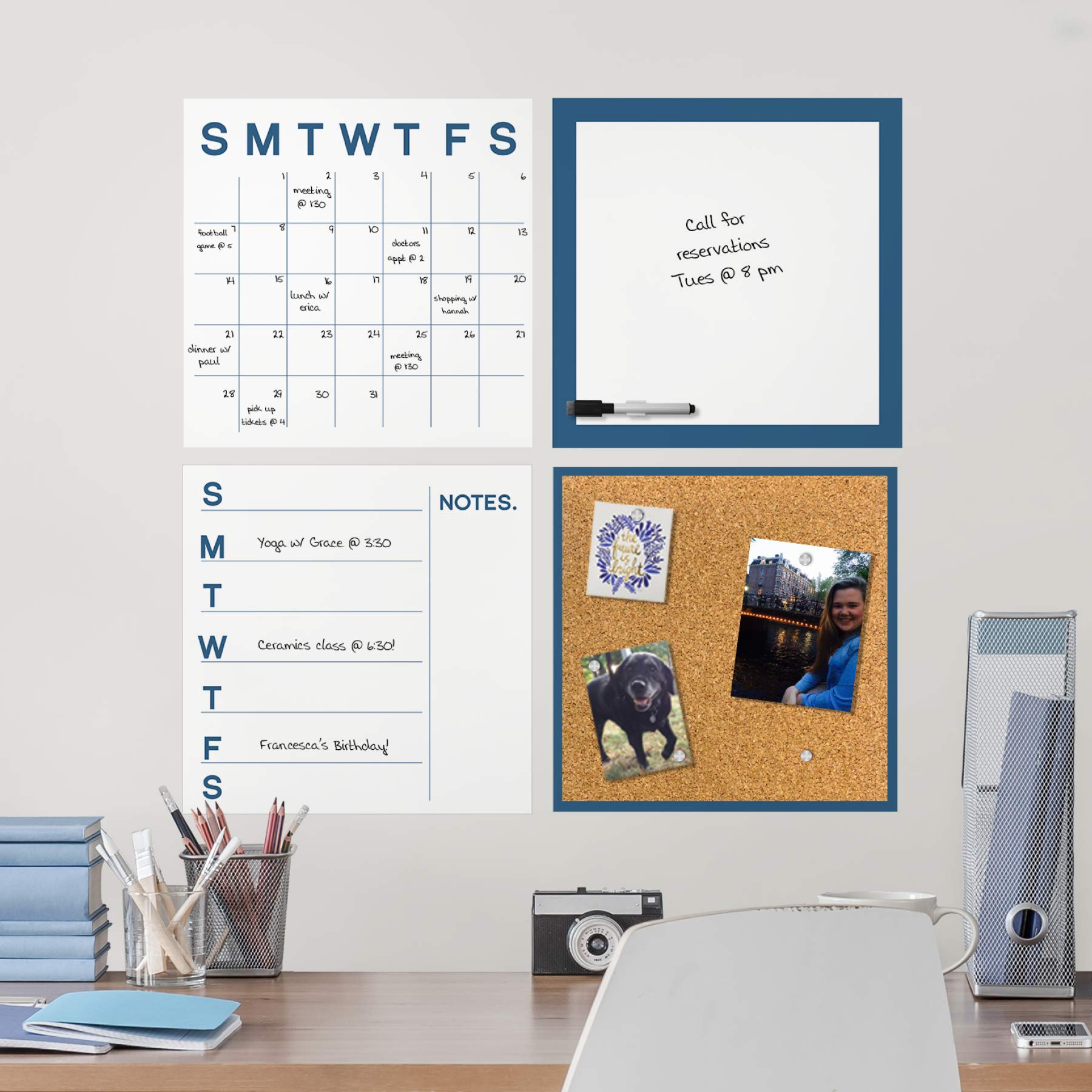 WallPops WPE3177 Blue Organization Kit - Peel & Stick Wall Decals for Home, Office & Classroom - Perfect for Decluttering & Organizing Spaces