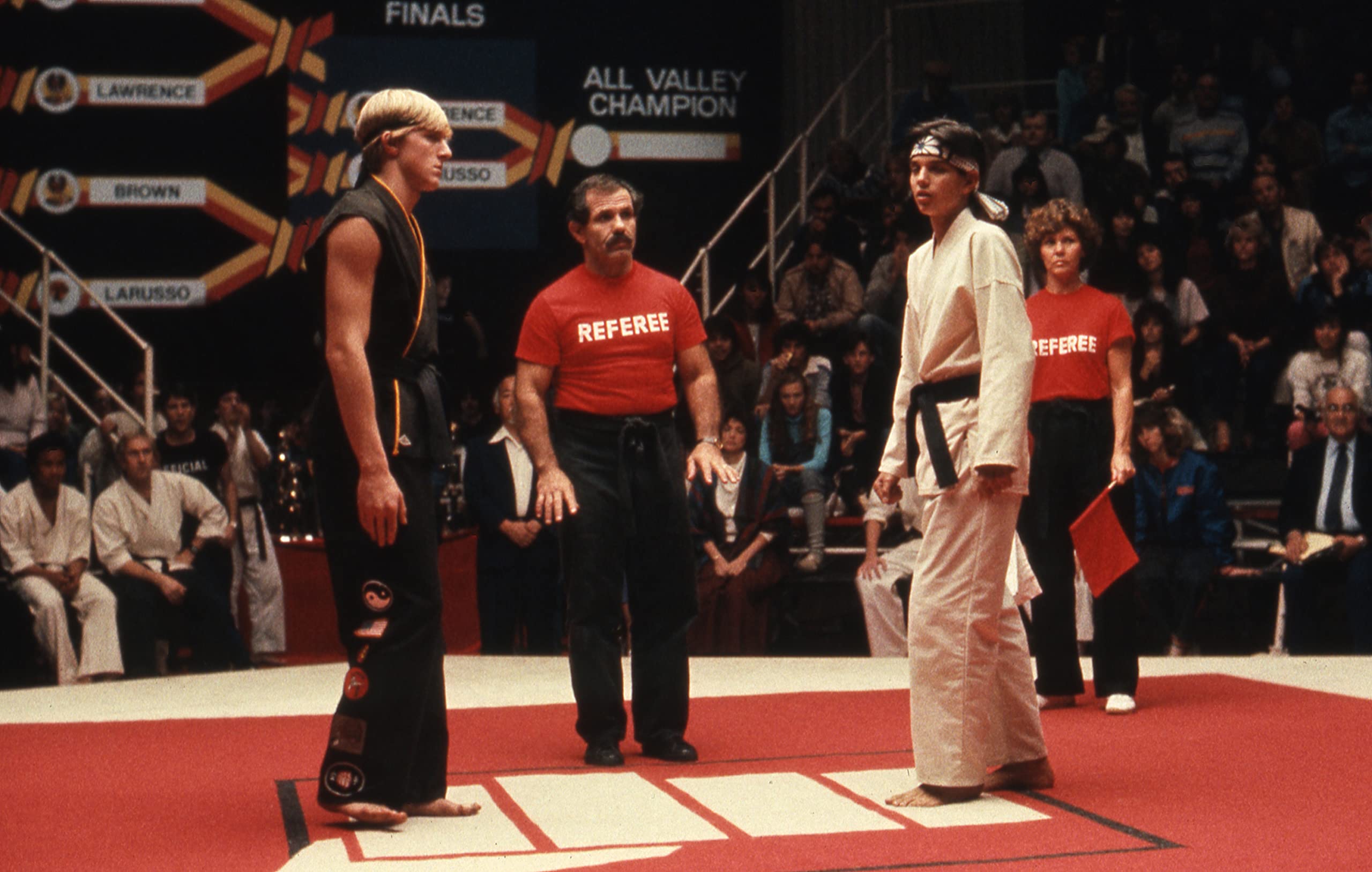 The Karate Kid Trilogy - 3-Movie DVD Collection (Karate Kid 1, 2 & 3) - Classic Martial Arts Films for Family Movie Night & 80s Nostalgia