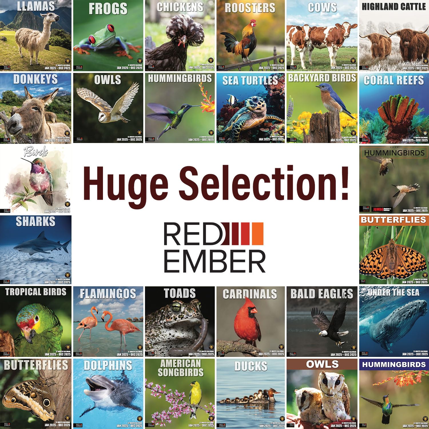 RED EMBER Highland Cattle 2025 Wall Calendar - 12 Month Large Format (12x24 Inches) with Thick Sturdy Paper - Perfect for Home, Office, or Gift Giving - Highland Cow Lover's Wall Planner for Kitchen, Classroom, or Farmhouse Decor
