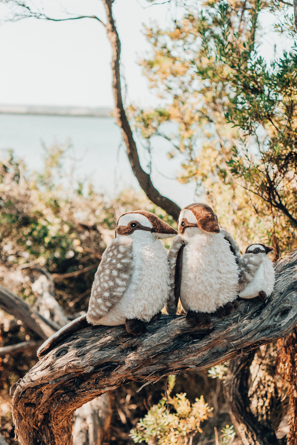 Ken the Kookaburra Plush Toy Set - Cute Australian Bird Stuffed Animal for Kids & Collectors - Perfect for Nursery Decor, Birthday Gifts, and Wildlife Education