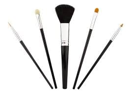 Premium 5-Piece Black Makeup Brush Set with Pink Beauty Blender - Soft Bristles for Women & Girls - Perfect for Foundation, Blush, Eyeshadow & Contouring (Pack of 6)