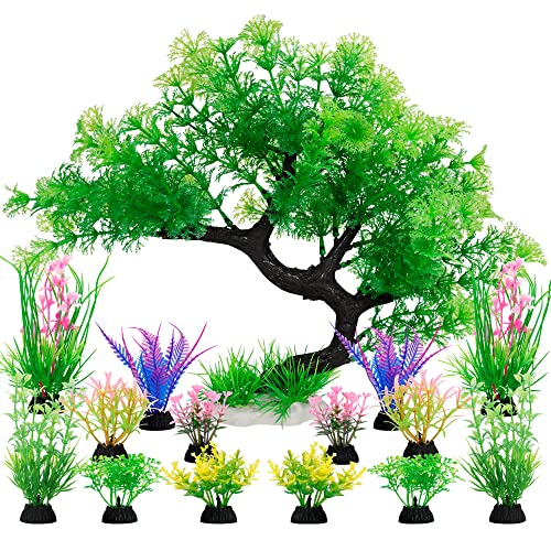 Green Set