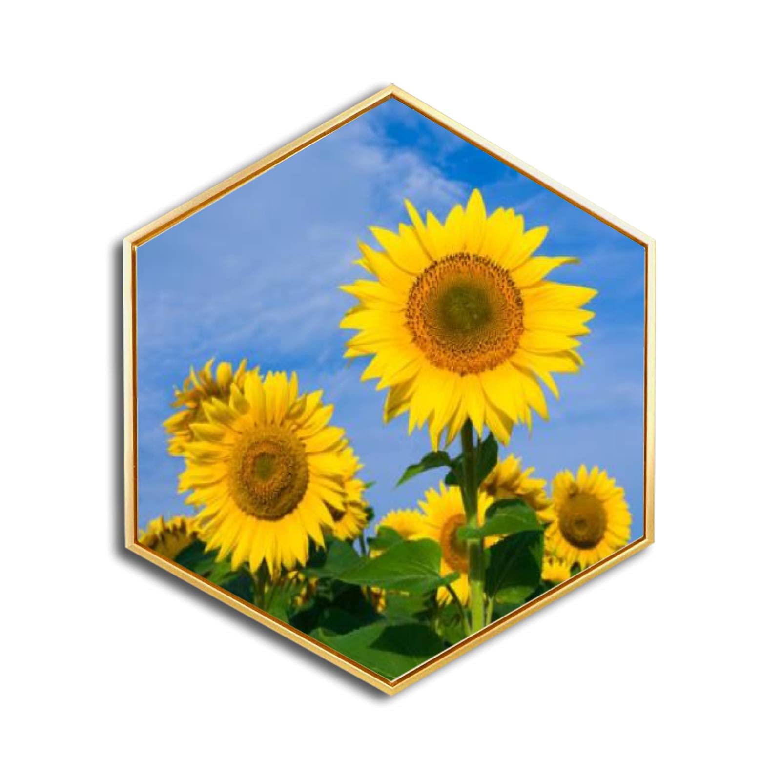 Golden Framed Sunflower Canvas Wall Art - Modern Minimalist Giclee Print Hexagon Wall Decor for Home & Office - Ready to Hang - Perfect for Living Room, Bedroom & Workspace Decor