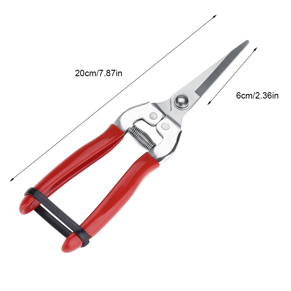 Sturdy Stainless Steel Pruning Shears for Gardening, Fruit Trees & Bonsai