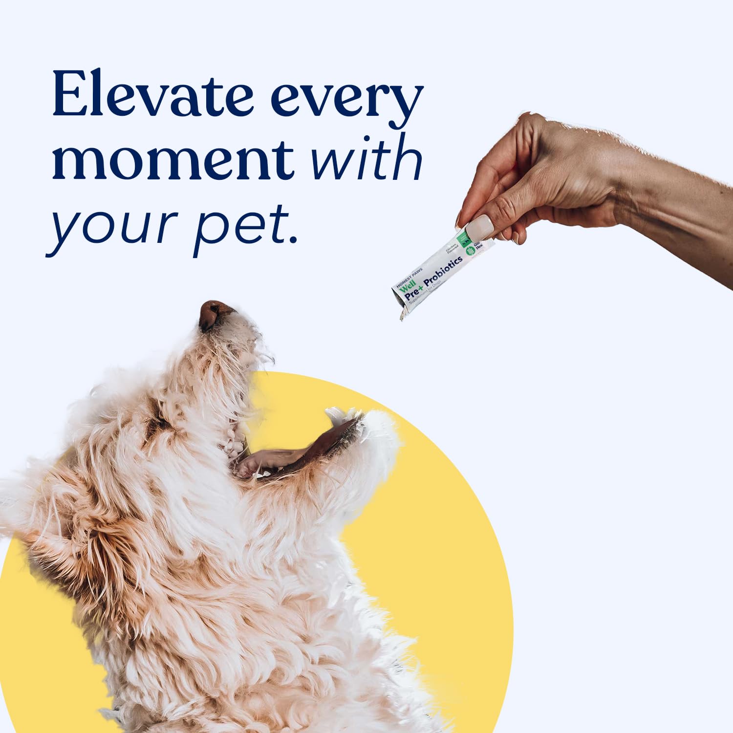 Honest Paws Probiotics for Dogs - Digestive & Immune Support Powder with Prebiotics | Made in USA | Chicken Flavor (30 Sticks) | Supports Gut Health & Immunity for Active Dogs