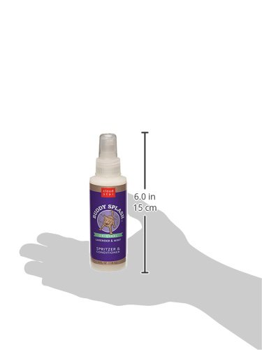 Buddy Splash Spritzer & Conditioner for Dogs - Lavender & Mint Scented Leave-In Spray (4oz) | Detangling, Moisturizing & Deodorizing Dog Grooming Spray | Perfect for Bath Time, Brushing & Between Washes