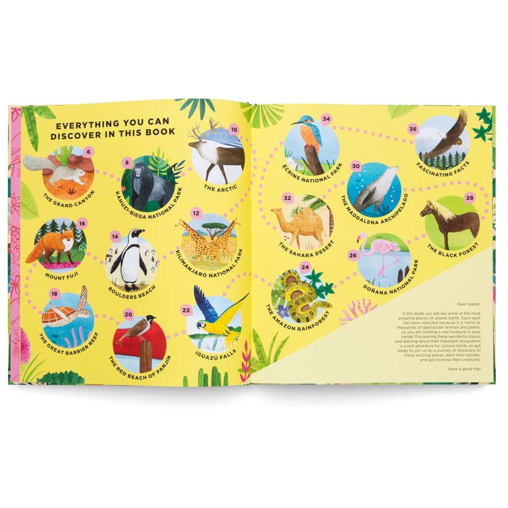 Mia Cassany: Animals Everywhere - Explore Animal Habitats Around the World | Illustrated by Nathalie Ouederni | Perfect for Kids' Nature Education & Home Learning