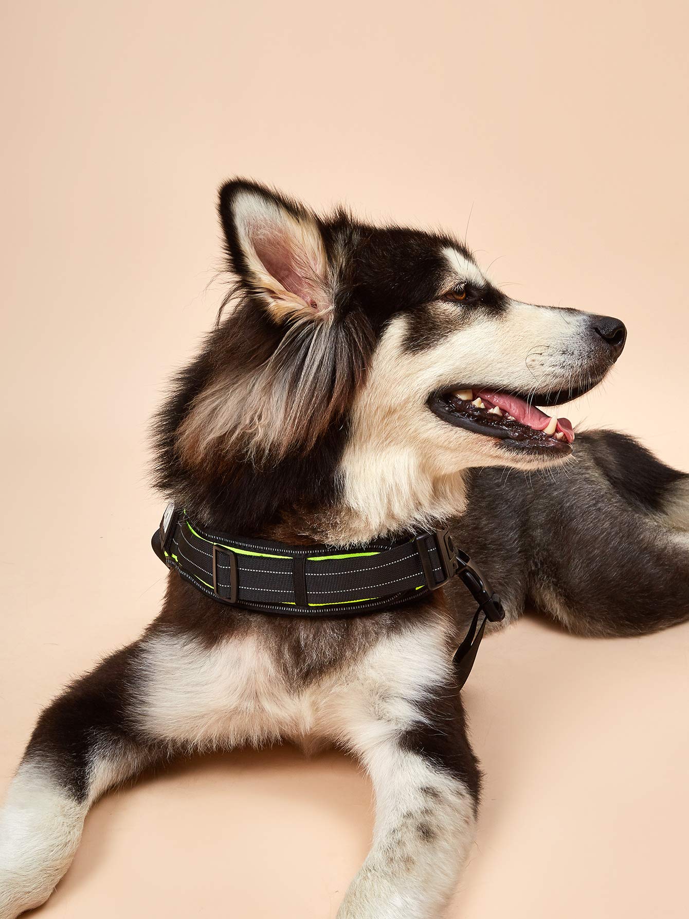 Dihapet No Pull Dog Harness - Adjustable Service Dog Vest for Training, Walking & Jogging - Reflective Pet Safety Vest for Small Medium Large Dogs - Perfect for Outdoor Adventures & Daily Walks