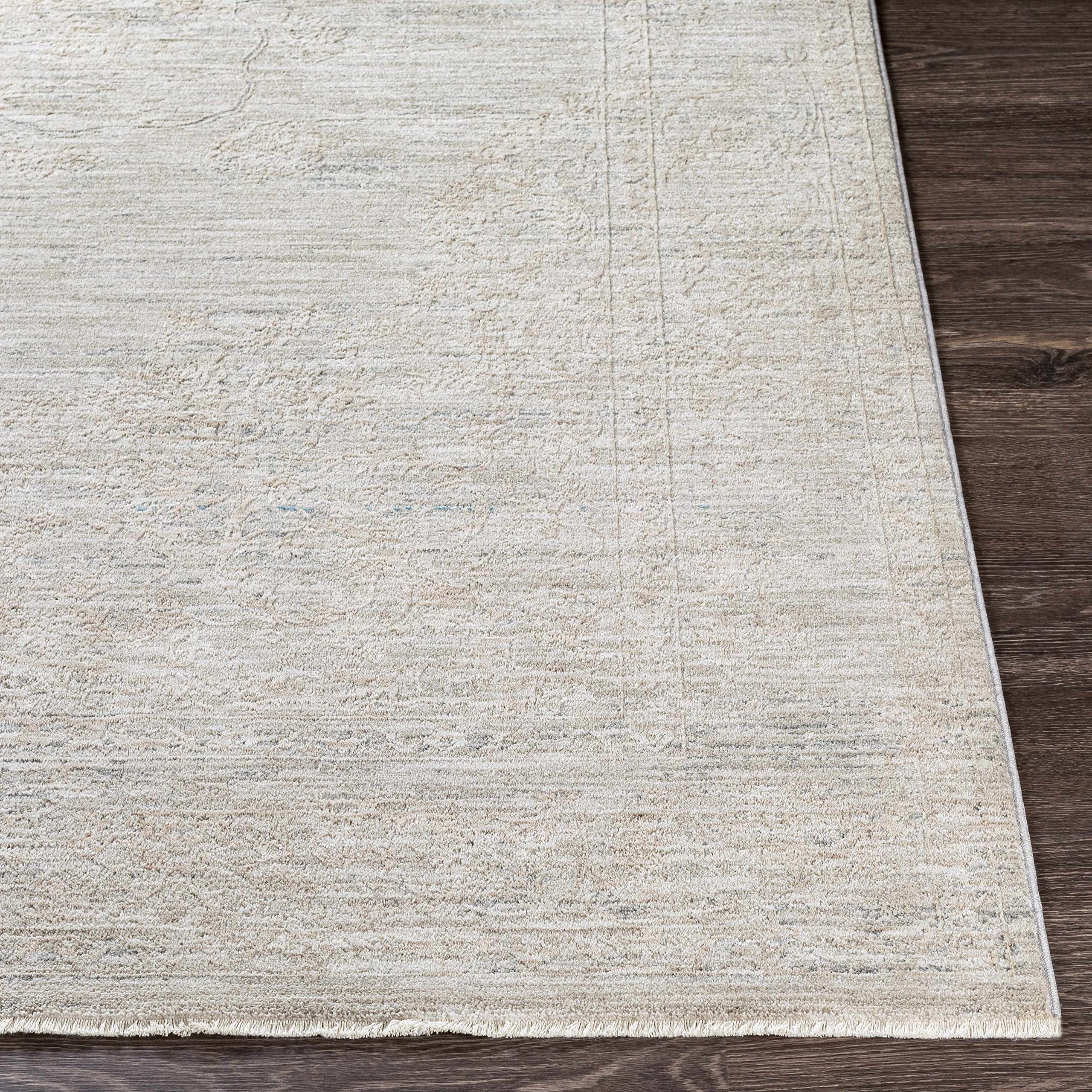 Hauteloom Monto Traditional Gray and Beige Area Rug 5' x 7'5