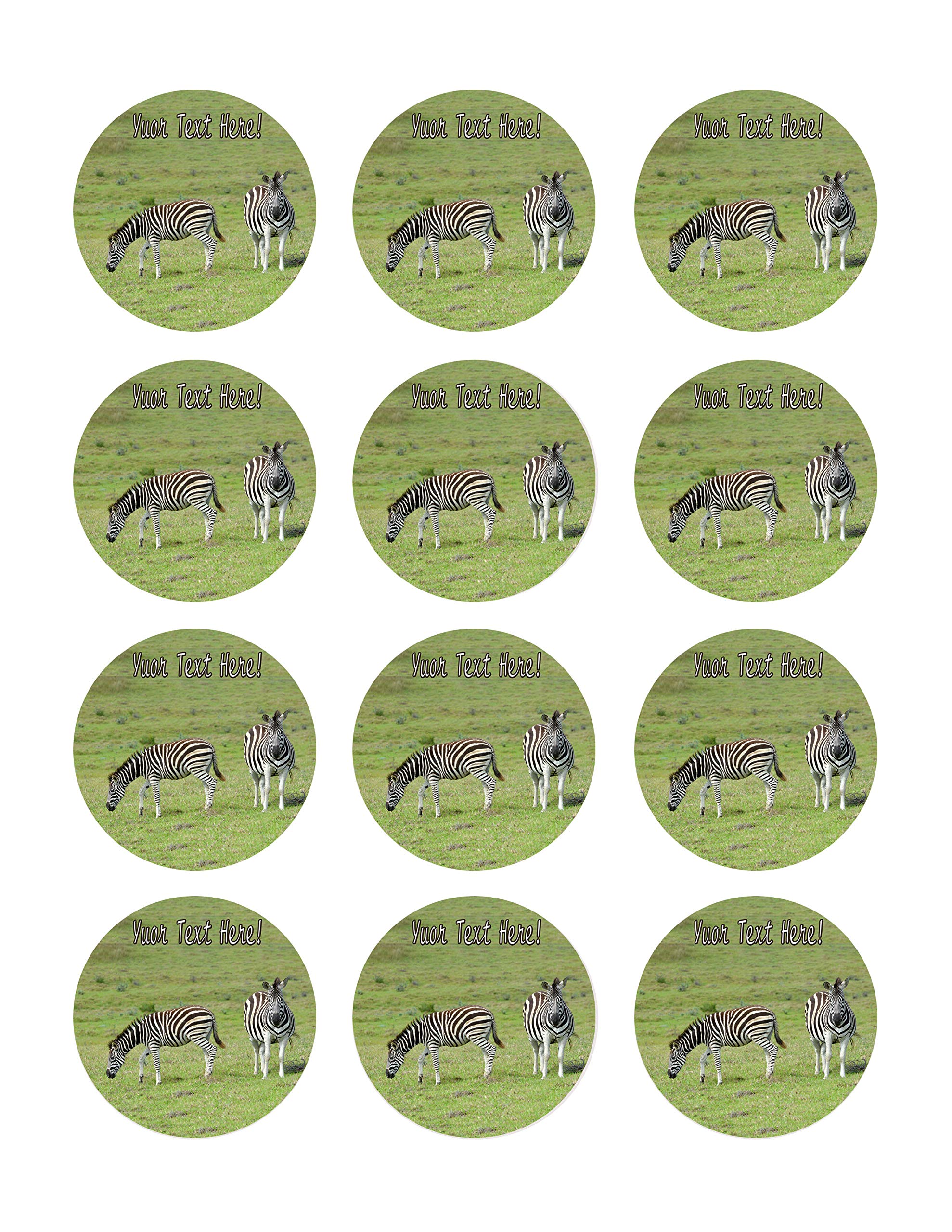 Edible Zebra Cupcake Toppers - 2 Inch Cake Decorations (12 Pieces/Sheet) for Birthday Parties, Baby Showers & Wedding Desserts