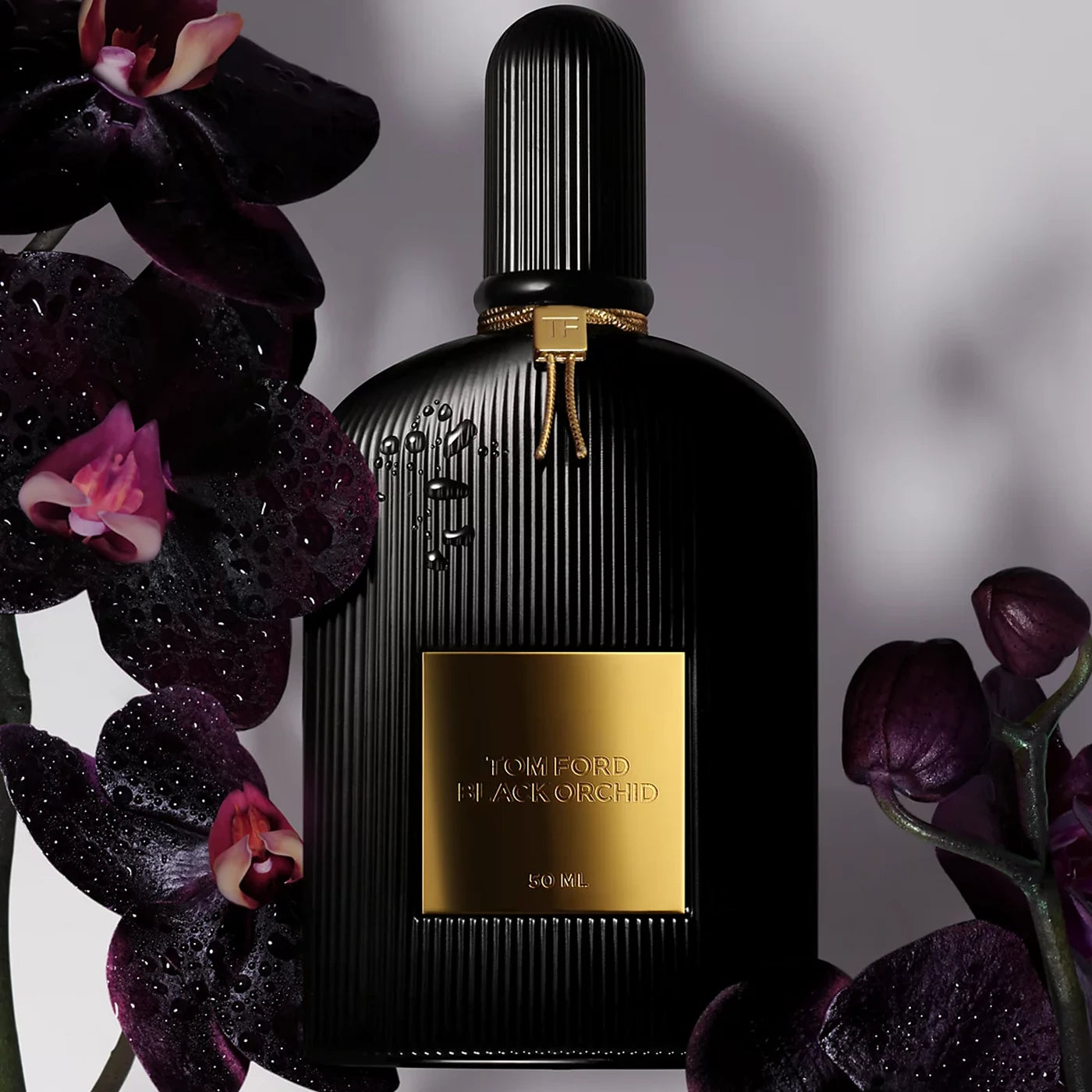 Black Orchid 5.0 oz Eau de Parfum Unisex Perfume - Luxury Fragrance for Men & Women, Perfect for Date Night, Special Occasions & Daily Wear