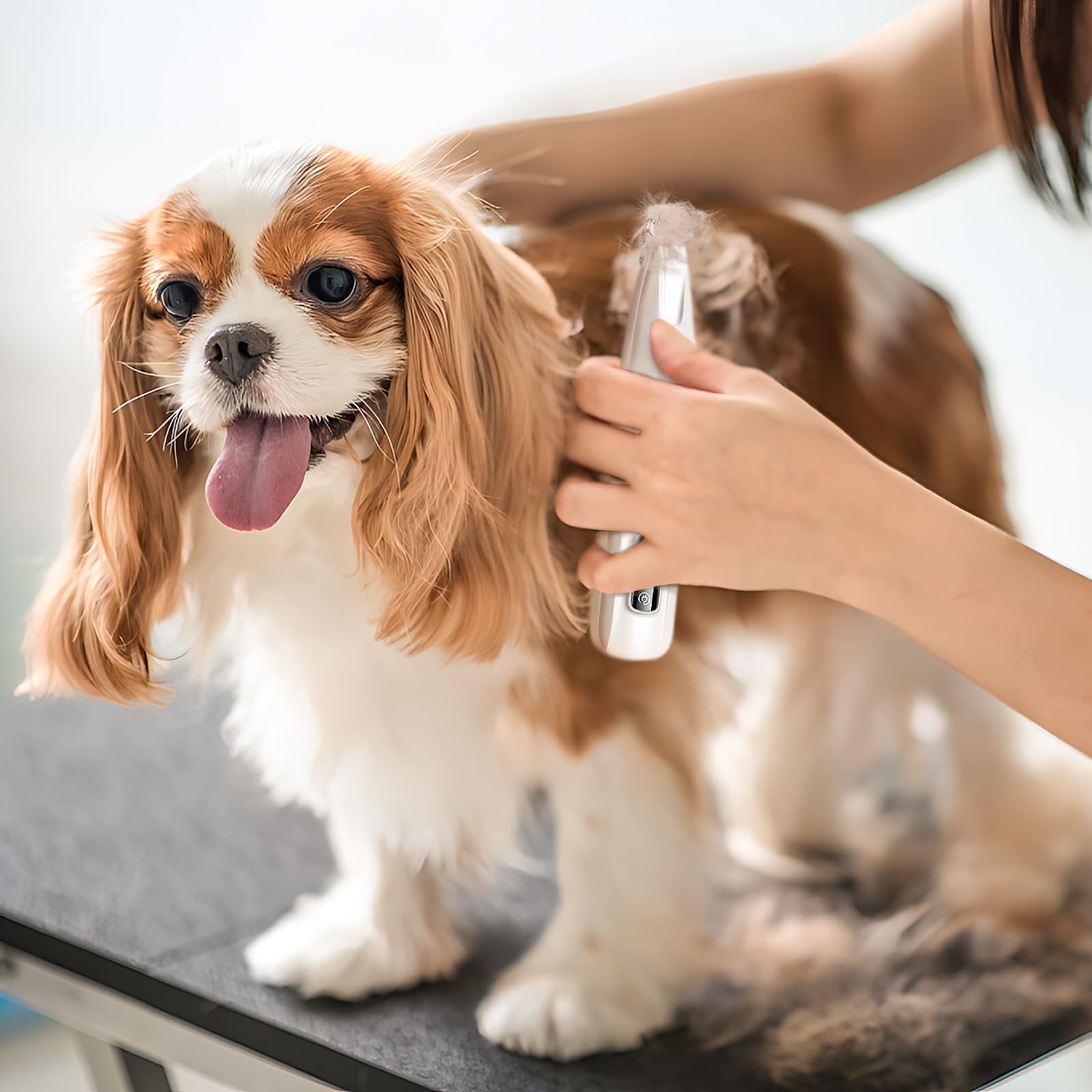 2025 Waterproof Pet Grooming Clipper - Rechargeable Trimmer for Paws, Face & Ears with LED Light - Perfect for Home Pet Care