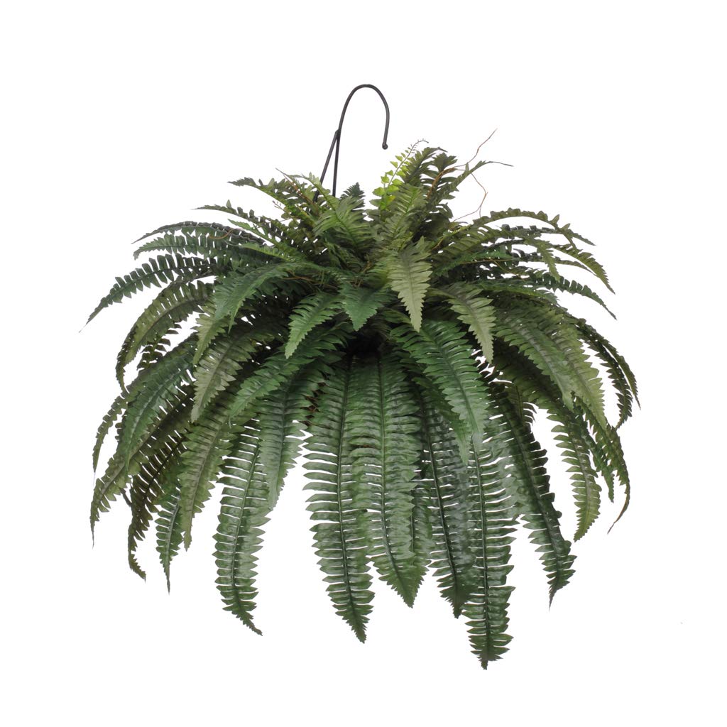 House of Silk Flowers Artificial Fern in Water Hyacinth Hanging Basket - Realistic Fake Fern Plant for Home & Office Decor - Perfect for Indoor Hanging Planters, Porch Decor, and Wedding Centerpieces